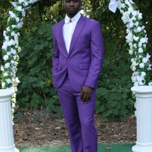 2 Pieces Purple Causal Suit